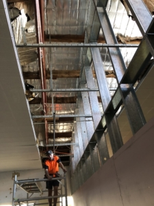 Industrial Linings